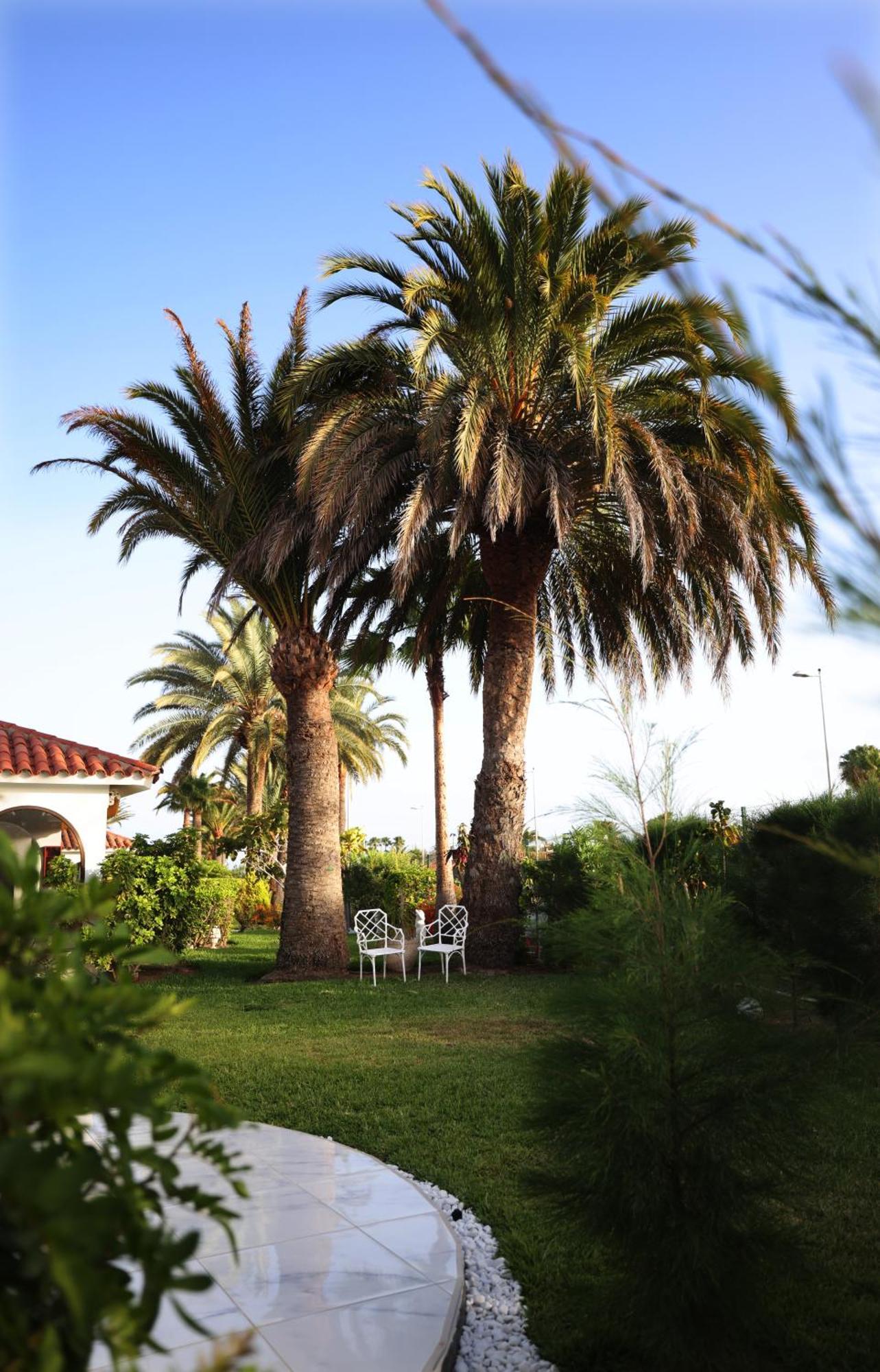 Отель Sun Club Playa Del Ingles Экстерьер фото